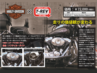 >TERAMOTO  Harley-Davidson  Bigtwin A-01