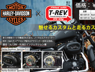 TERAMOTO Harley-Davidson Sportster PDF